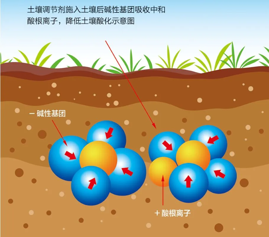 根结线虫专用机：大棚土壤防治的实用装备与选购要点
